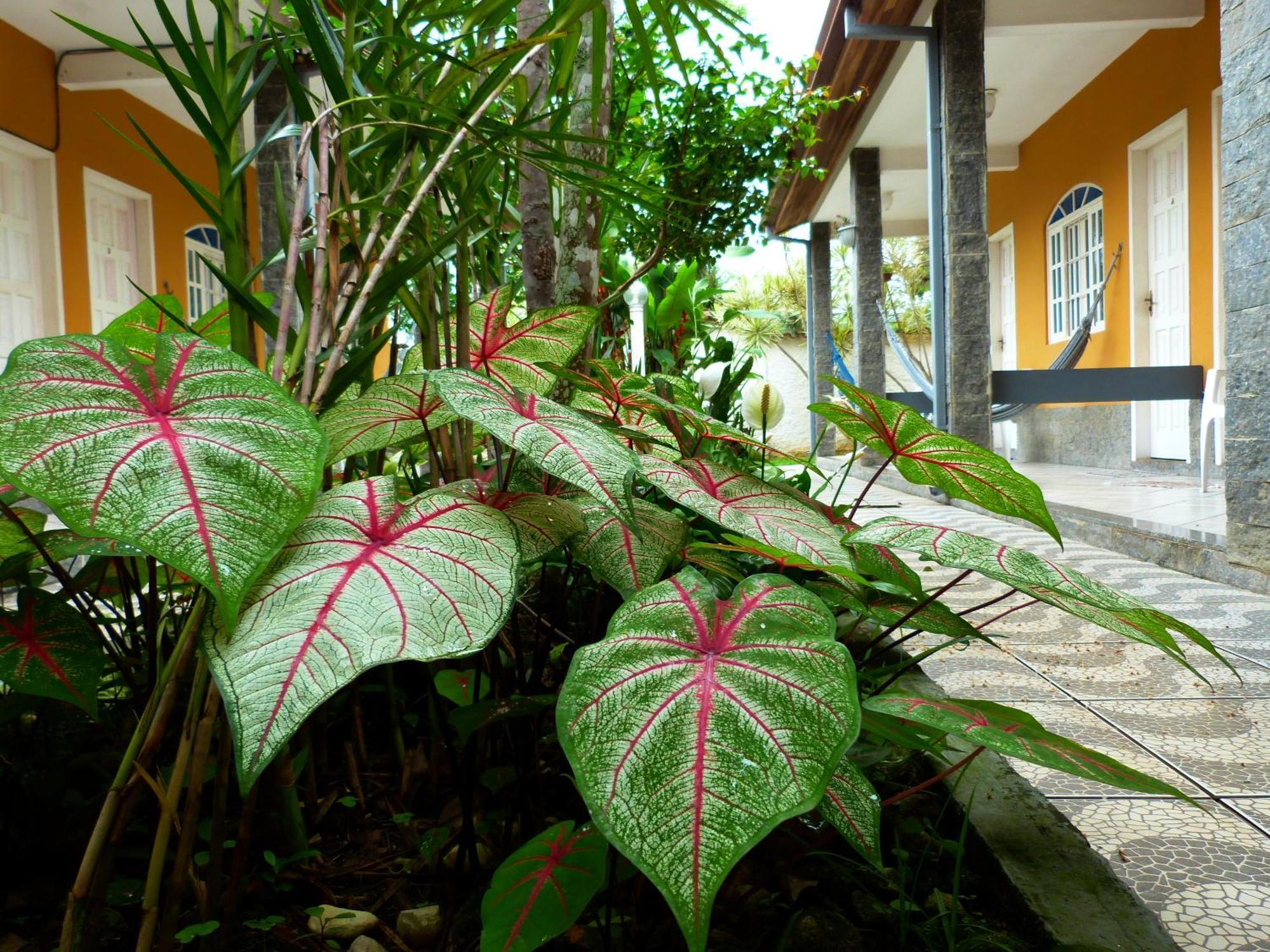 Villa Do Sonho Pousada Hotel Parati Exterior foto